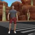 gta5中文版