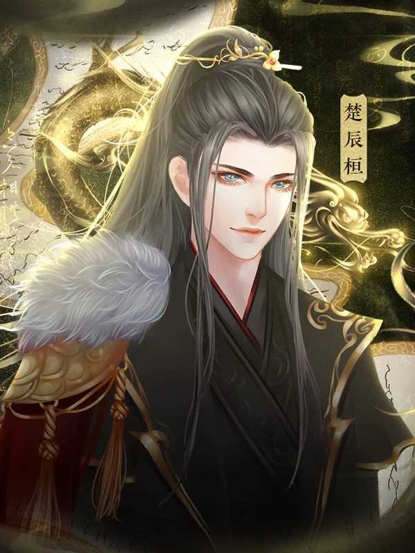 凰梦归途破解版