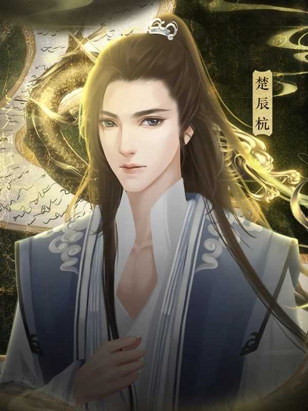 凰梦归途破解版