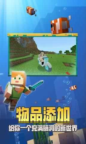 我的世界国际版1.14
