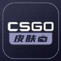 csgo皮肤宝