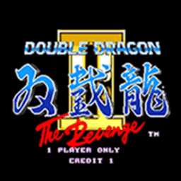 双截龙2无限命