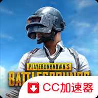 和平精英国际服游戏
