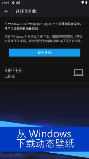wallpaper麻匪壁纸(全透明)