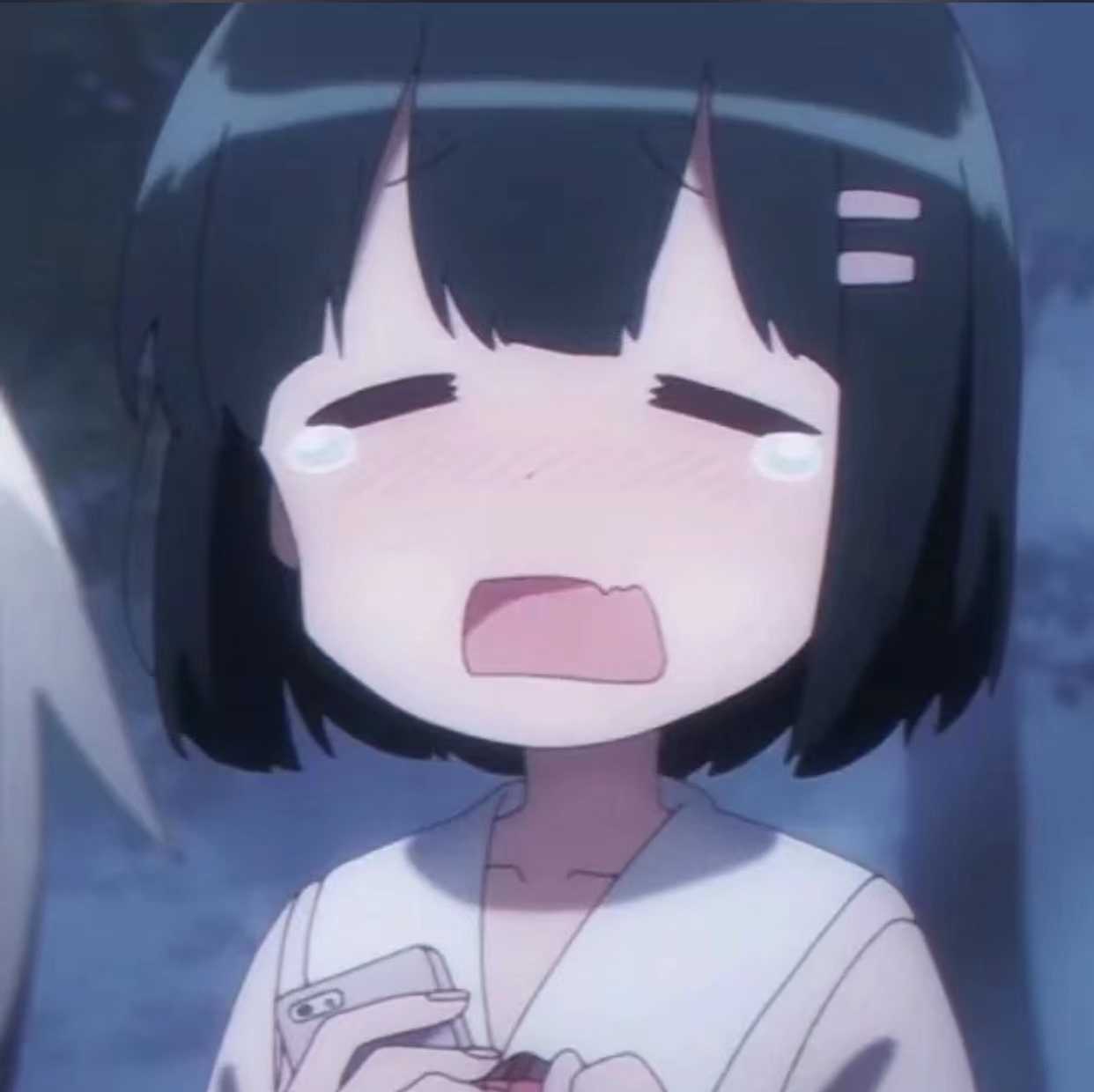 光遇扶摇脚本最新版