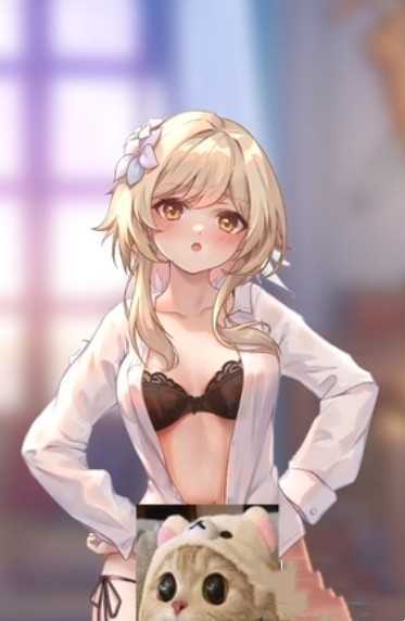 原神麻匪壁纸
