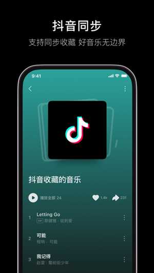 汽水音乐精简版