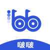 波波浏览器蓝色版本安装
