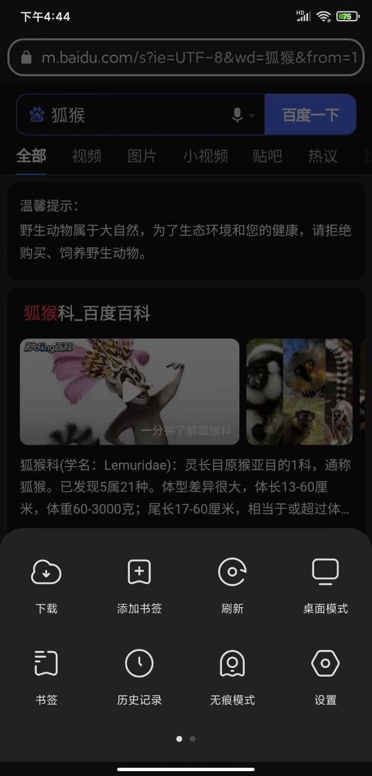 狐猴浏览器2024最新版