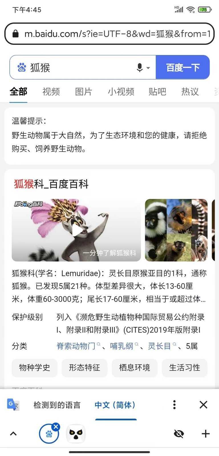 狐猴浏览器2024最新版