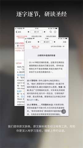 读圣经鸽子版下载
