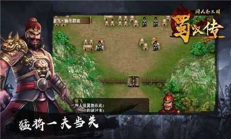 圣三国蜀汉传无限元宝版