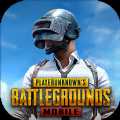 地铁逃生国际服pubg