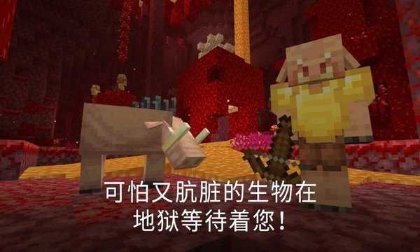我的世界体验服