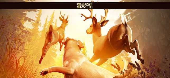 猎鹿人中文版破解版